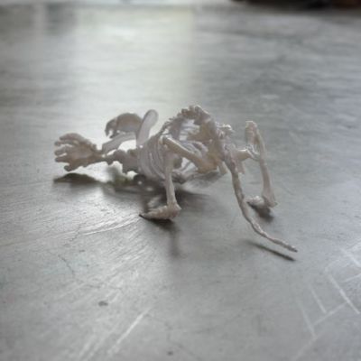 <p>Plastic bestek 20x14x12cm</p>